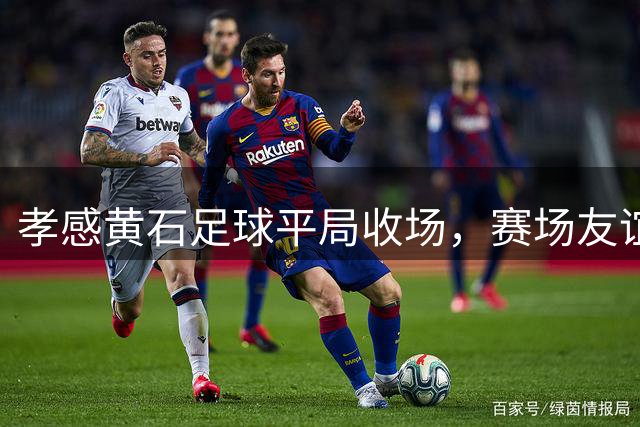 孝感黄石足球平局收场，赛场友谊深