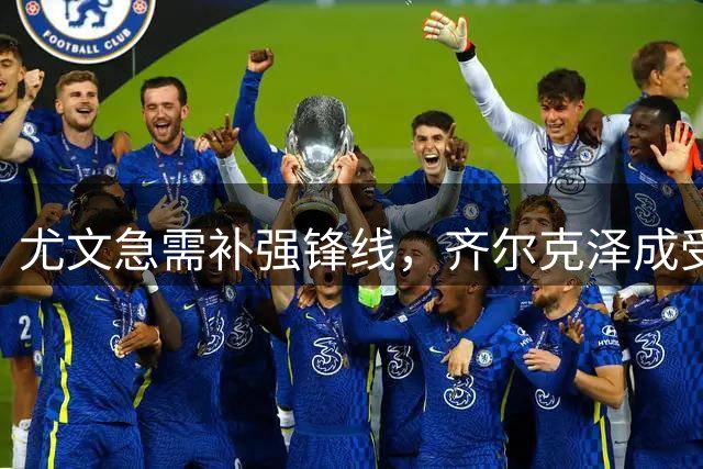 尤文急需补强锋线，齐尔克泽成受限条件下的理想选择