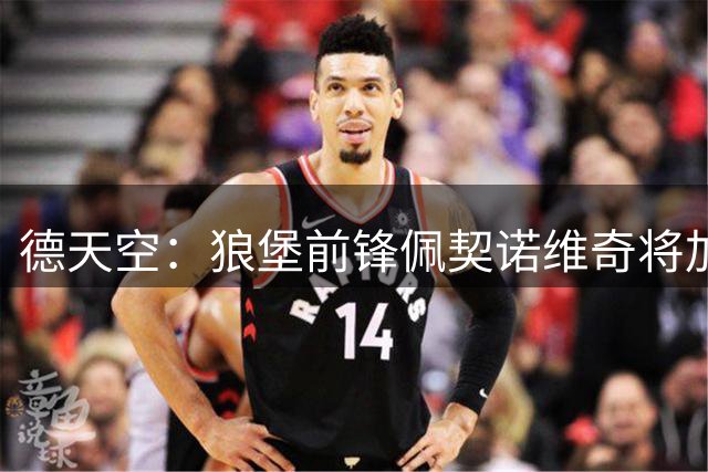 德天空：狼堡前锋佩契诺维奇将加盟斯图加特
